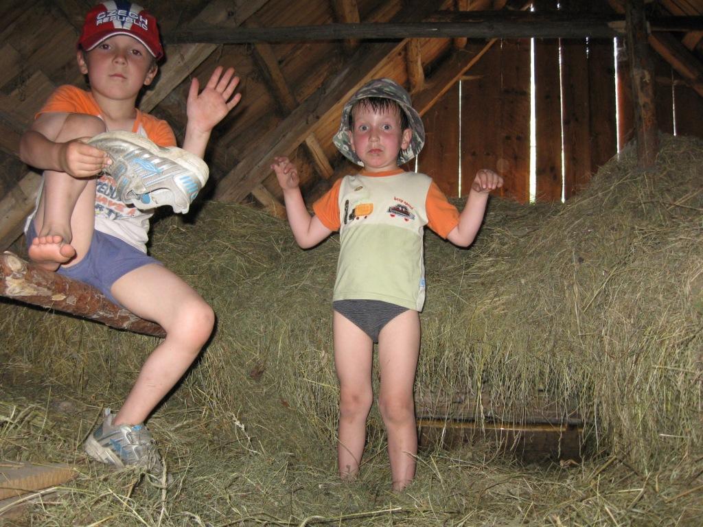 Na seně na Hutisku